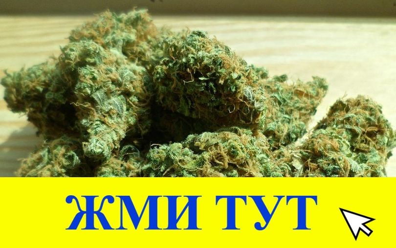 Купить наркотики в Долгопрудном